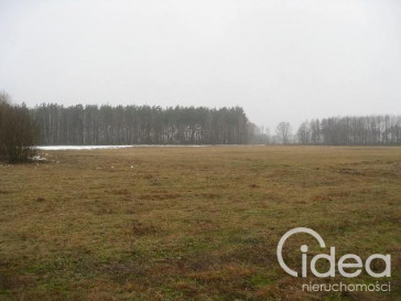 Działka Sprzedaż Stepnica