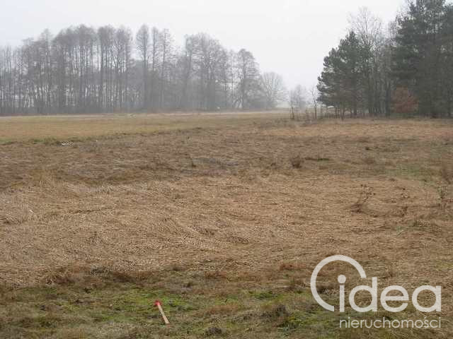 Działka Sprzedaż Stepnica 14