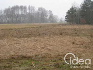 Działka Sprzedaż Stepnica
