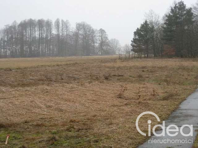 Działka Sprzedaż Stepnica 15