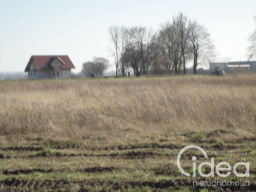 Działka Sprzedaż Turze