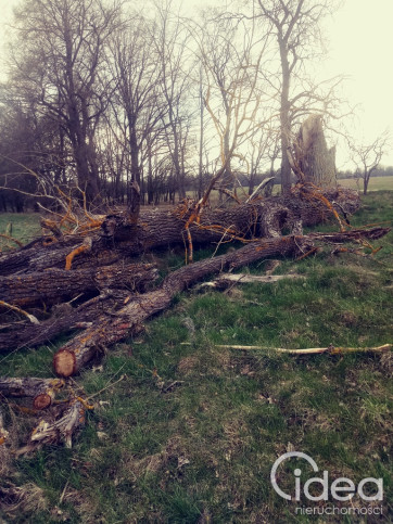 Działka Sprzedaż Łęgi 5