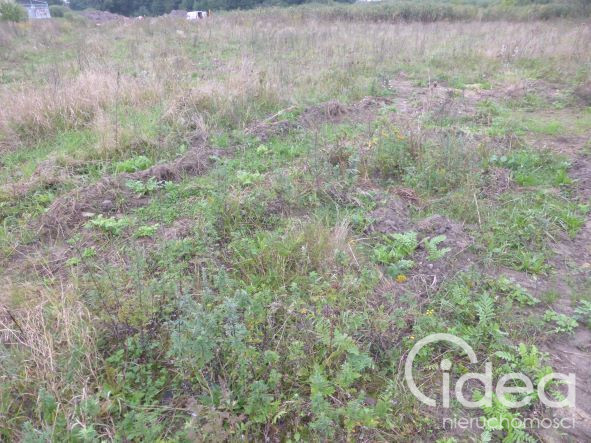 Działka Sprzedaż Kobylanka 5
