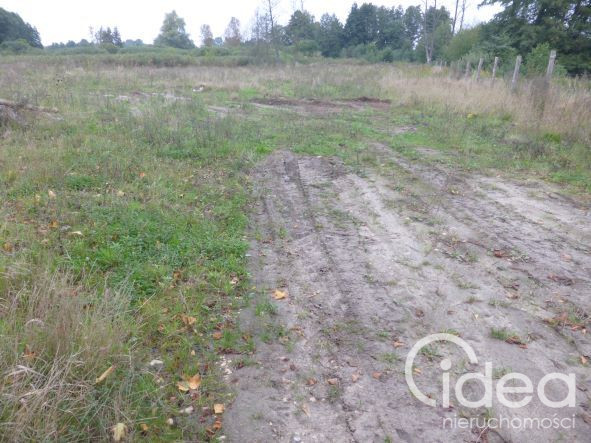 Działka Wynajem Kobylanka 1