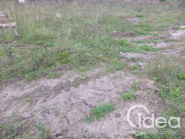Działka Wynajem Kobylanka 2