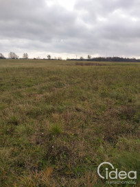 Działka Sprzedaż Szczecin Skolwin