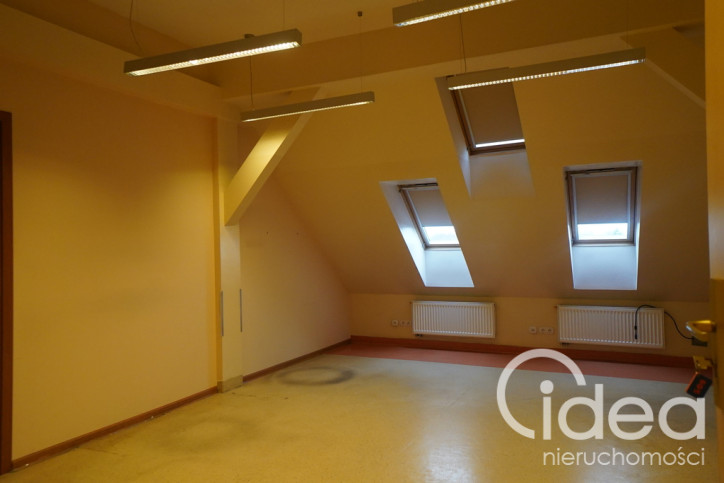 Lokal Wynajem Szczecin Śródmieście 5