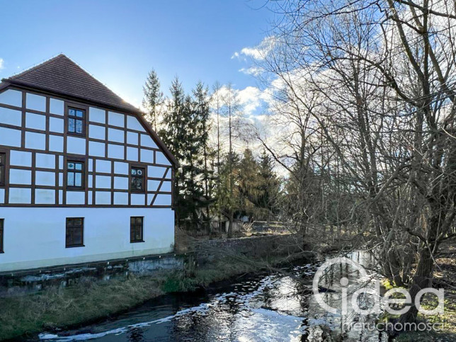 Obiekt Sprzedaż Babigoszcz 2
