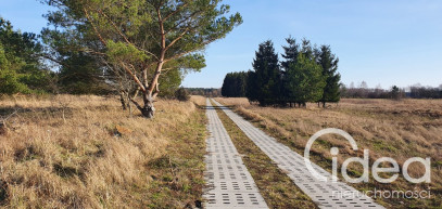 Działka Sprzedaż Białuń