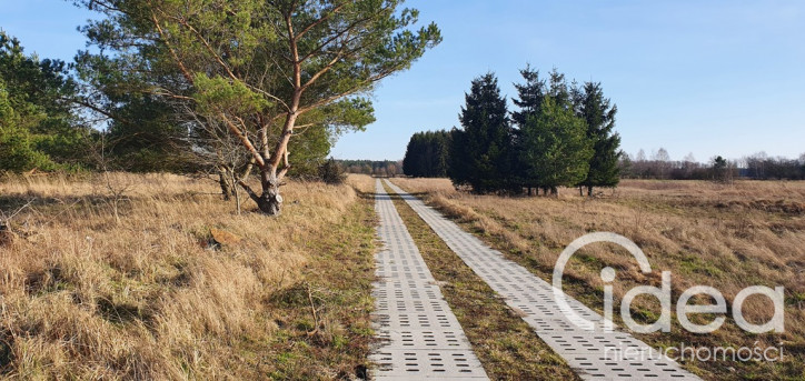 Działka Sprzedaż Białuń 4