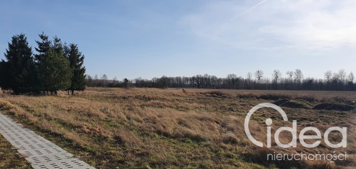 Działka Sprzedaż Białuń 5