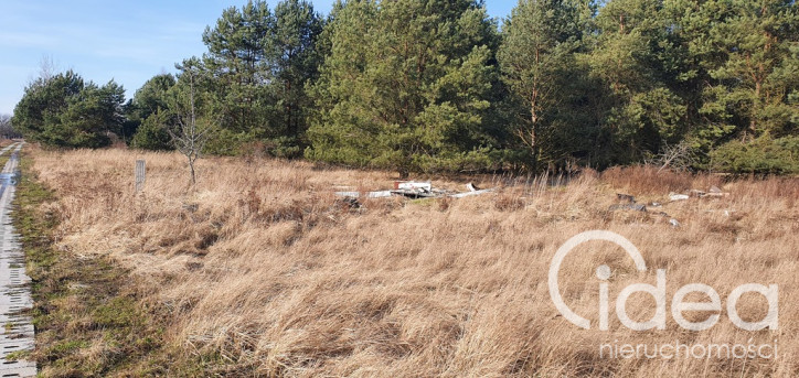 Działka Sprzedaż Białuń 6