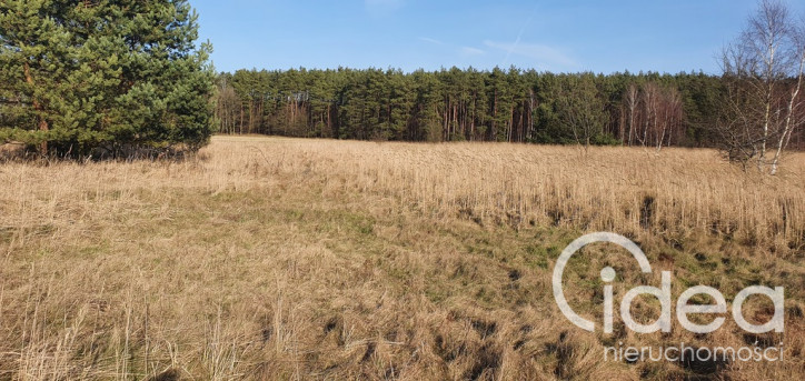 Działka Sprzedaż Białuń 1