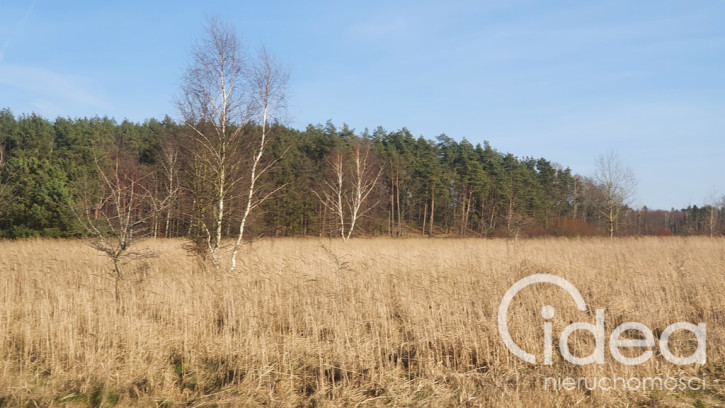 Działka Sprzedaż Białuń 8
