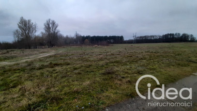 Działka Sprzedaż Stepnica