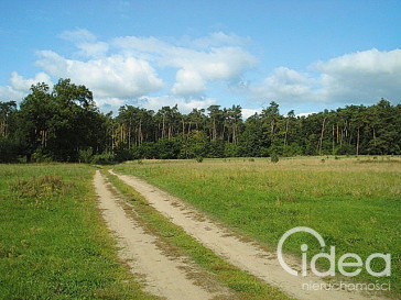 Działka Sprzedaż Kościno