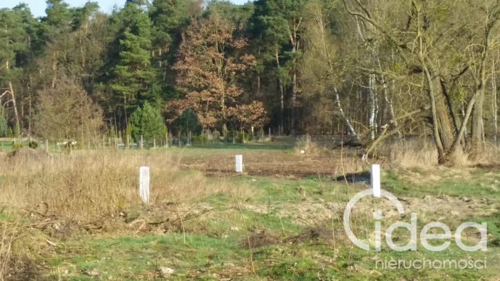 Działka Sprzedaż Kościno 9