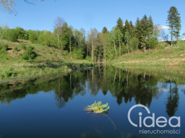 Działka Sprzedaż Bobolice
