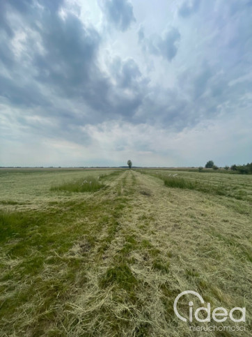 Działka Sprzedaż Wierzbno 14