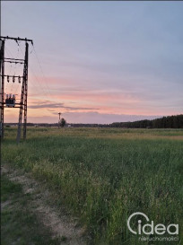 Działka Sprzedaż Lubczyna