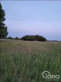 Działka Sprzedaż Lubczyna