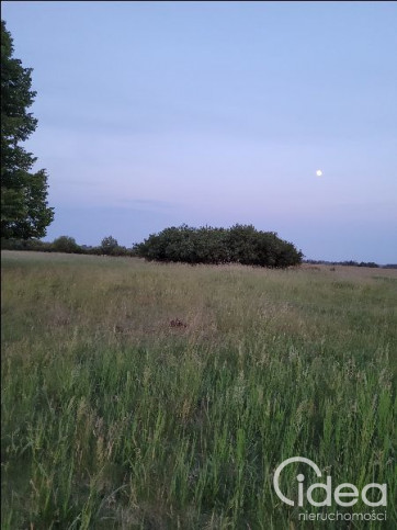 Działka Sprzedaż Lubczyna 4