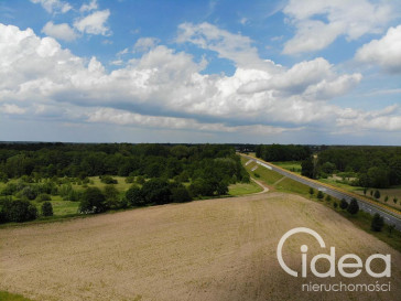 Działka Sprzedaż Goleniów