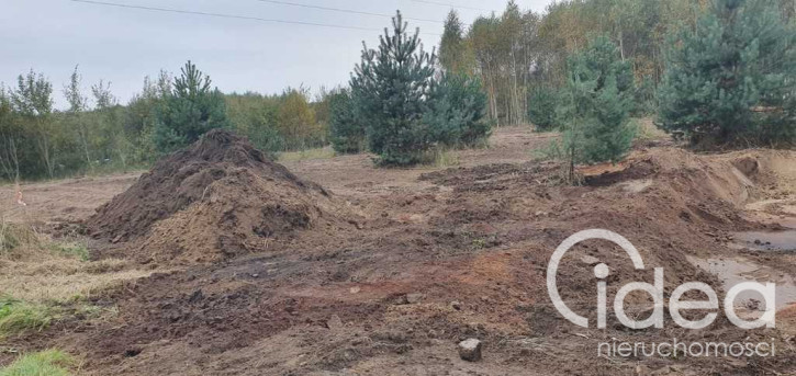 Działka Sprzedaż Borzyszewo 10