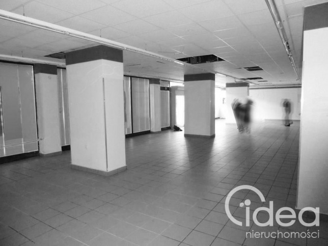 Lokal Wynajem Szczecin Centrum 1
