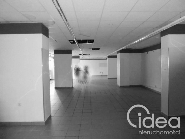Lokal Wynajem Szczecin Centrum 4