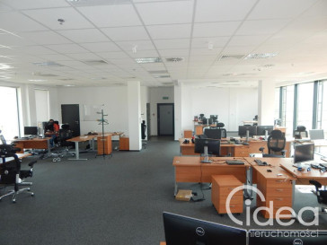 Lokal Wynajem Szczecin Centrum