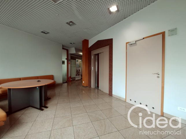 Lokal Wynajem Szczecin Centrum 6