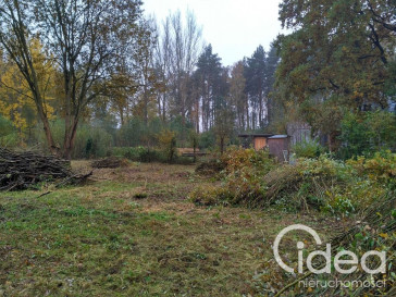 Działka Sprzedaż Grębowo