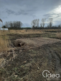 Działka Sprzedaż Pyrzyce