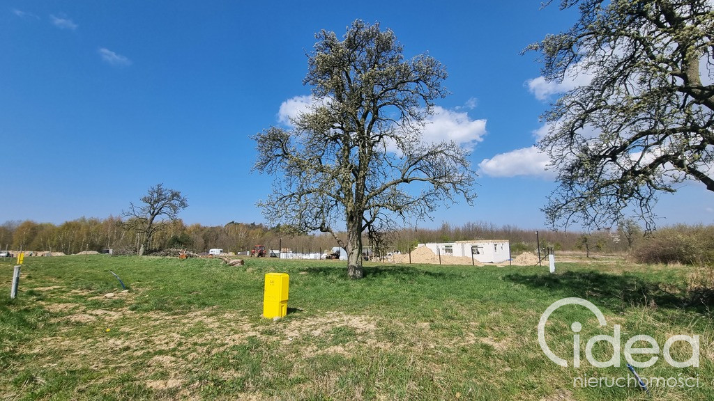 Działka Sprzedaż Szczecin Skolwin