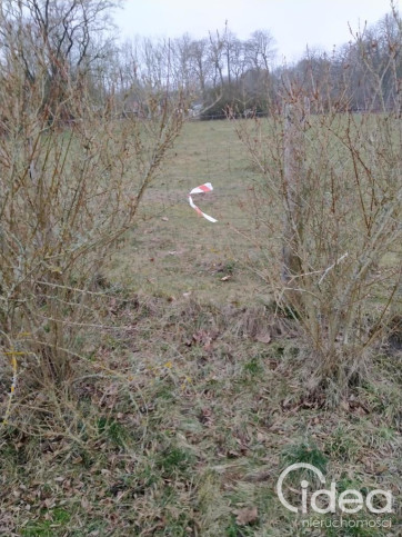 Działka Sprzedaż Rzędziny 12