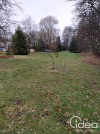 Działka Sprzedaż Rzędziny
