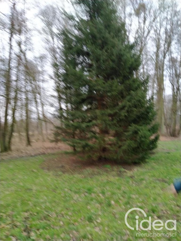 Działka Sprzedaż Rzędziny 12