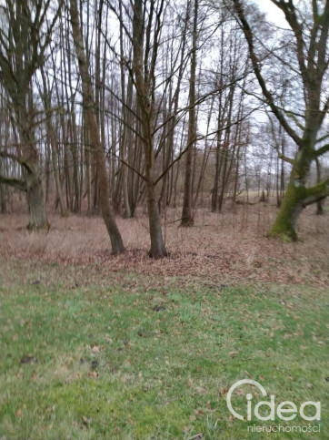Działka Sprzedaż Rzędziny 9