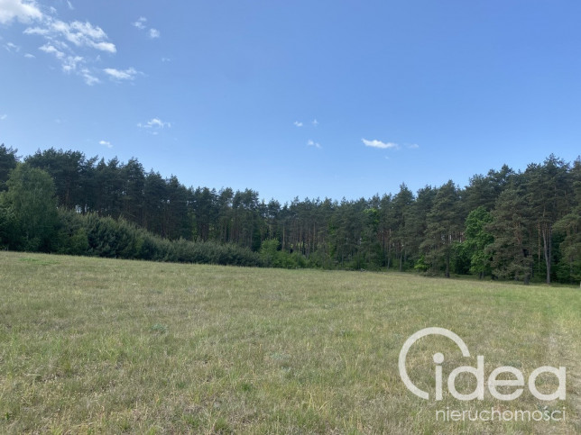 Działka Sprzedaż Przybiernów 3