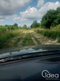 Działka Sprzedaż Stara Dąbrowa