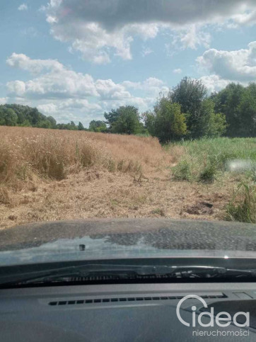 Działka Sprzedaż Stara Dąbrowa 6