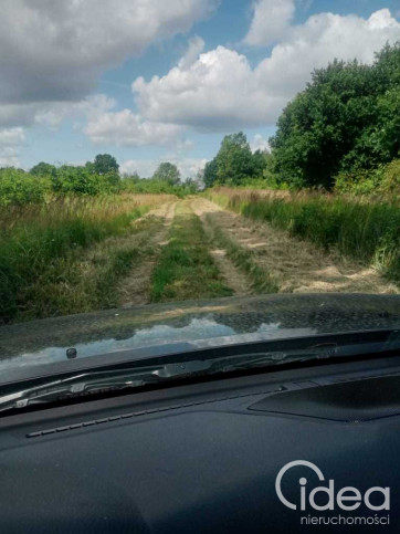 Działka Sprzedaż Stara Dąbrowa 8