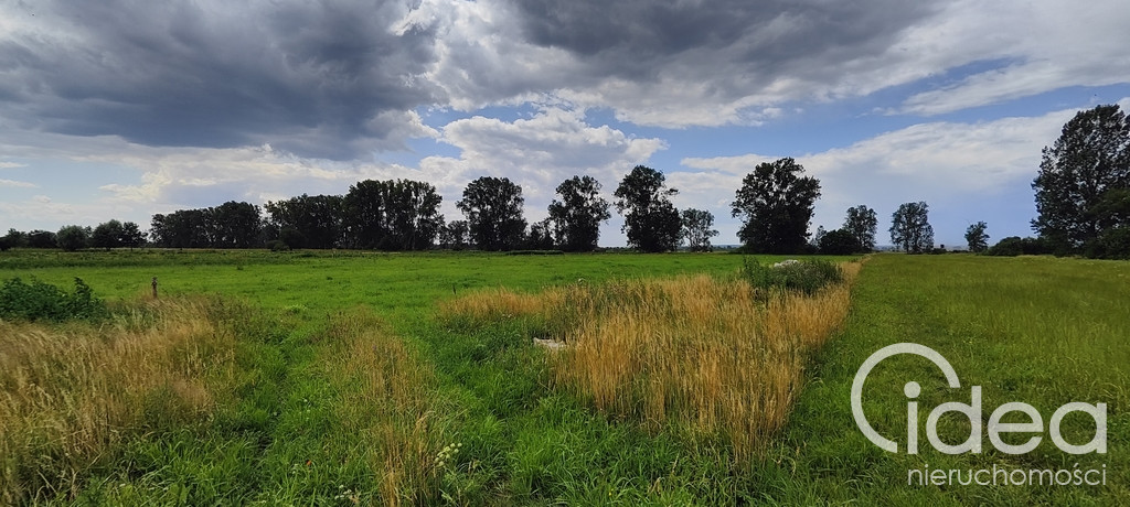 Działka Sprzedaż Rurzyca