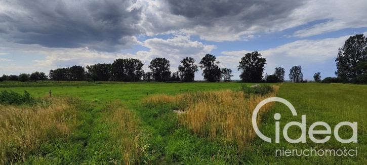 Działka Sprzedaż Rurzyca 2