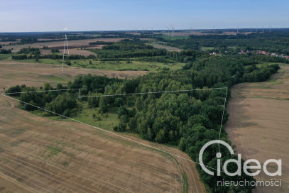 Działka Sprzedaż Prusinowo