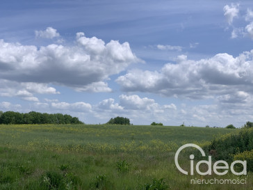 Działka Sprzedaż Stobno Pod Dębami