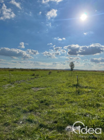 Działka Sprzedaż Wierzbno