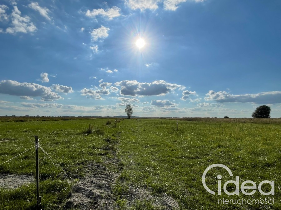 Działka Sprzedaż Wierzbno