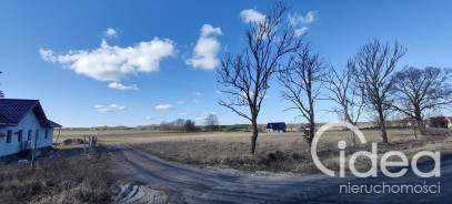 Działka Sprzedaż Kościuszki